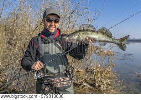 Happy Fisherman With Zander Fish. Success Walleye Fishing At Wild River
