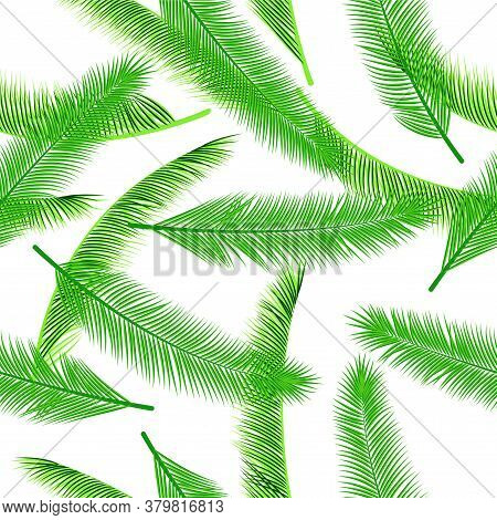 Tropical Feather Plumelet Vector Ornament. Romantic Graphic Design. Ethnic Aztec Feather Plumelet Te