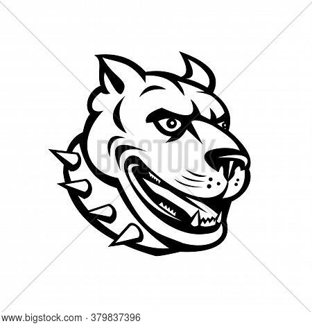 Mascot Illustration Of Head Of An American Pit Bull Terrier Or Pitbull, A Type Of Dog Descended From