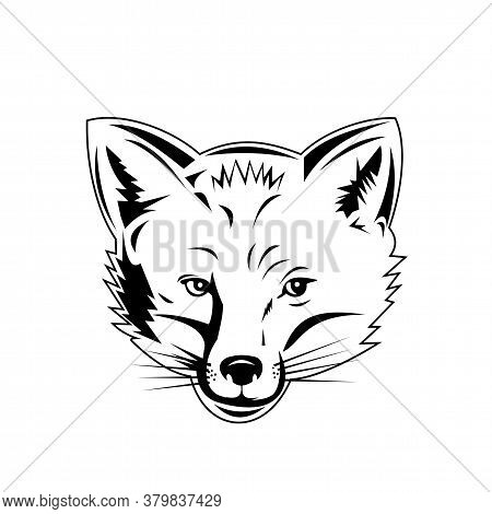 Retro Style Illustration Of Head Of A Red Fox, Largest Of The True Foxes And The Most Widely Distrib