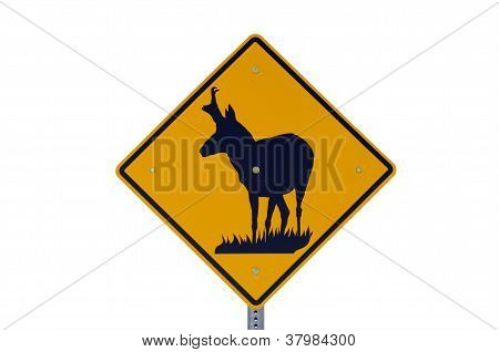 Segno di Pronghorn antilope