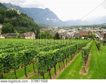 Bright Green Vineyards Spread Out Against A Backdrop Of Dark Mountains And Blue Skies. Foreground