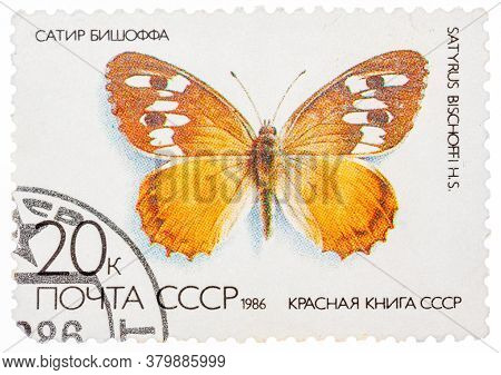 Ussr - Circa 1986: A Stamp Printed In The Ussr Russia Shows A Butterfly With The Inscription Satyrus