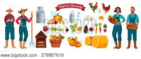 Organic Farm Market Set With Men, Women, Milk, Cock, Chicken, Fresh Vegetables, Haystack. Agricultur