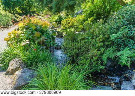 A Creek In A Garden In Seata, Washington.