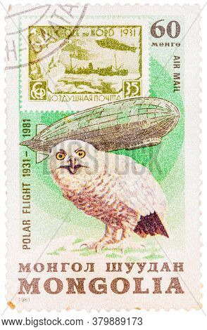 Mongolia - Circa 1981: A Stamp Printed In Mongolia Shows Image Of A Snowy Owl, From The Series Polar