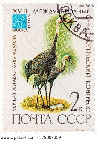 Ussr - Circa 1982: A Stamp Printed In Ussr Russia Shows A Bird Grus Monacha With The Inscription And