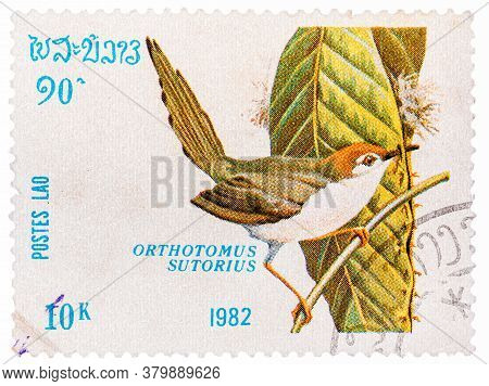 Laos - Circa 1982: A Stamp Printed In Laos Shows Common Tailorbird Orthotomus Sutorius , From Series