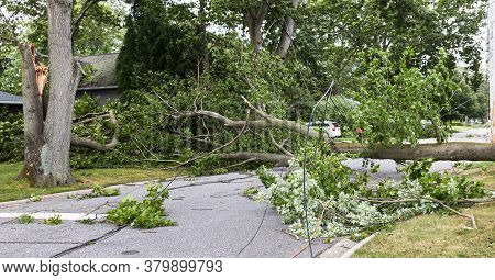 Toppled Over Trees And Electric Wires Lying Across A Residential Street After Tropical Storm Isaias 