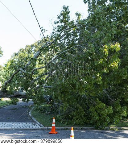 Orange Cones In Residential Street Warning Drivers Of A Downed Electric Wire Caught In A Toppled Ove