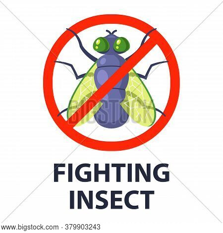 Destroy Flying Insects. Catch Dung Flies. Flat Vector Character Illustration.