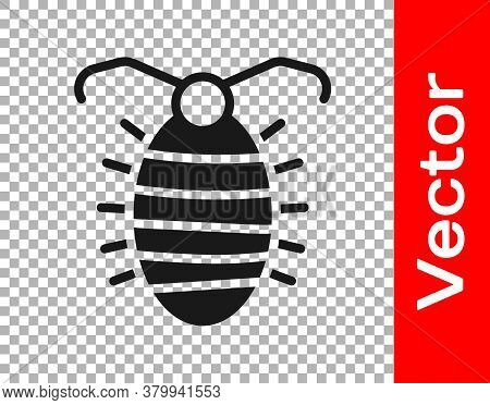 Black Larva Insect Icon Isolated On Transparent Background. Vector