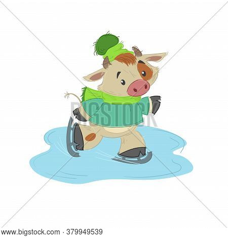 Cute Bull, Ox Or Bison Skating On Open Air Ice. 2021 Chinese Year Of Bull Symbol. Cartoon Hand Drawn