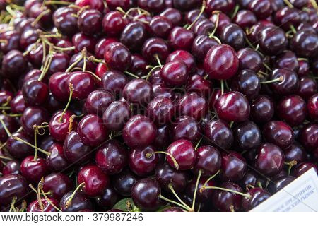 Close Up Of Pile Of Ripe Cherries With Stalks And Leaves. Large Collection Of Fresh Red Cherries. Ri