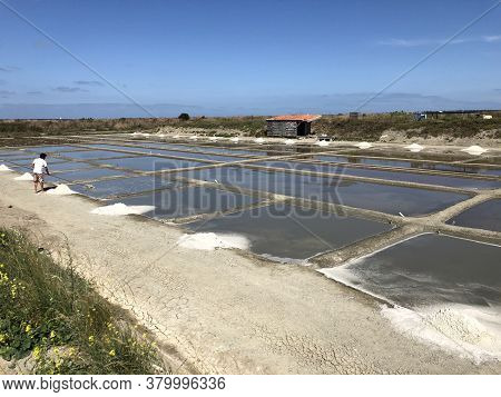 Salt Marshes Near The Town Of Couarde-sur-mer, Ile-de-re