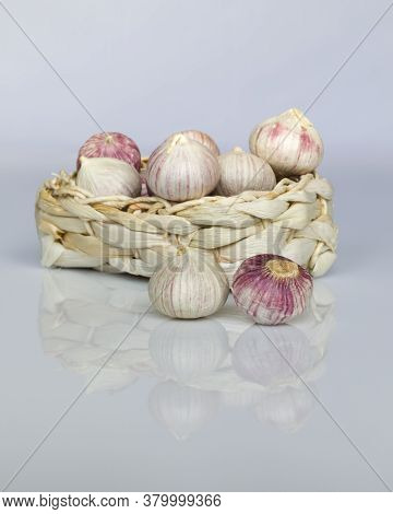 Fresh Solo Garlic Bulbs In A Basket On A White Background. They Are Used For Cooking And Grown In As