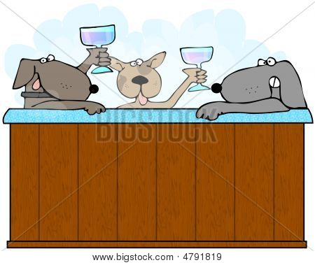 Cães em uma banheira de hidromassagem