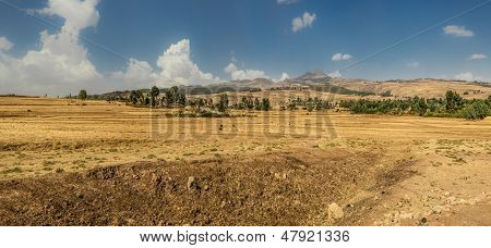 สุภาภูมิทัศน์