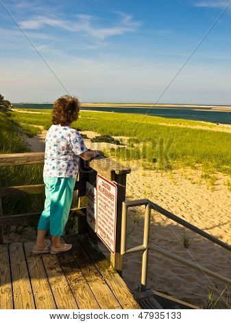Woman Looking At Cape Cod Vista.