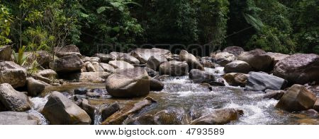 Az erdő Stony River