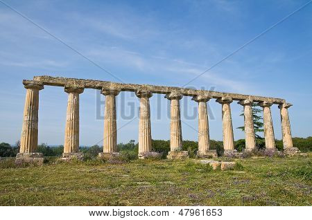 Tavole Palatine af Metaponto. Basilicata. Det sydlige Italien.