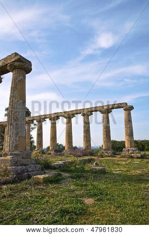 Tavole Palatine. Metaponto. Basilicata. Italien.