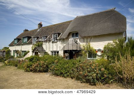 Graziosi cottage, Somerset, Inghilterra