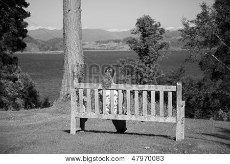 Lavička Lake View mono