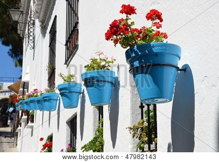 Flores en maceta de pared