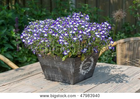 Tavolo da giardino decorato con lobelie blu