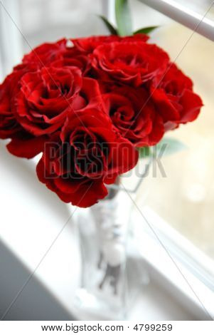 Rose rosse