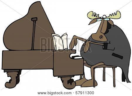 Moose pianist