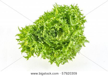 fresh green iceberg salad leaves