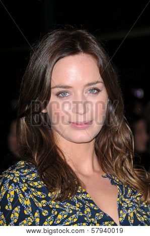 Emily Blunt  at the 2008 AFI Film Festival Screening of 'Defiance'. Arclight Theater, Hollywood, CA. 11-09-08