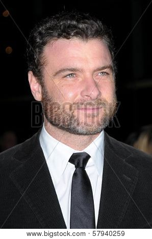Liev Schreiber  at the 2008 AFI Film Festival Screening of 'Defiance'. Arclight Theater, Hollywood, CA. 11-09-08