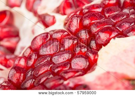 Pomegranate