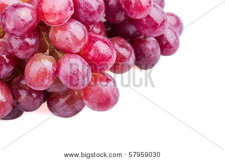 Wet grape