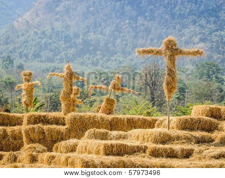 Scarecrows Stand Together In The Garden