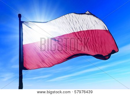 Thuringia (GER) flag waving on the wind