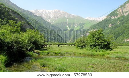 Daryasar