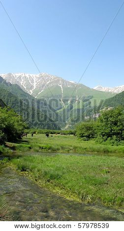 Daryasar