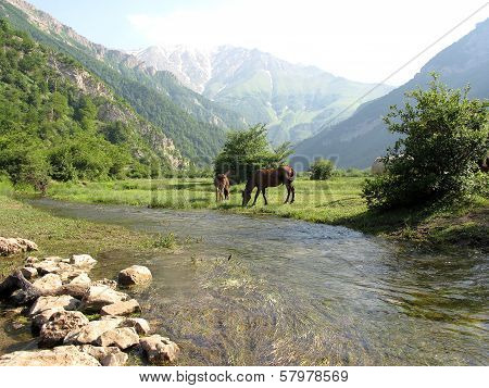 Daryasar