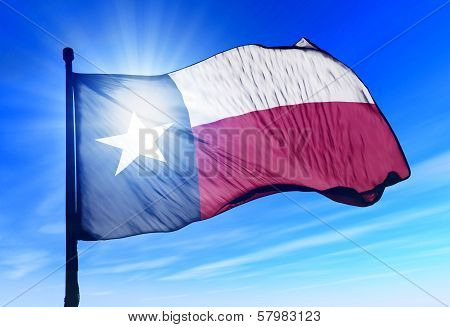 Texas (USA) flag waving on the wind