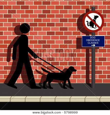 Hund Gehorsam Klassen