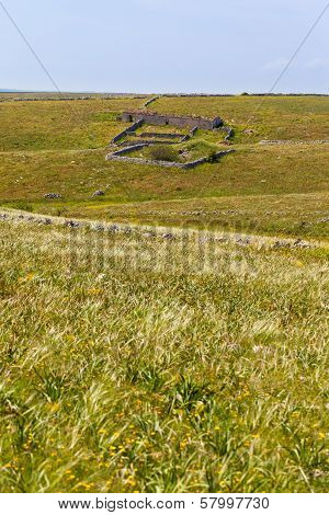 Sheepfold