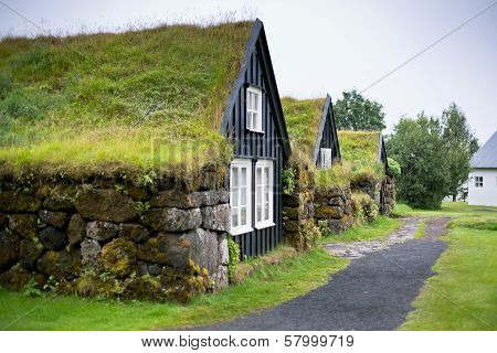 Overgrown Typical Rural Icelandic House At Overcast Day