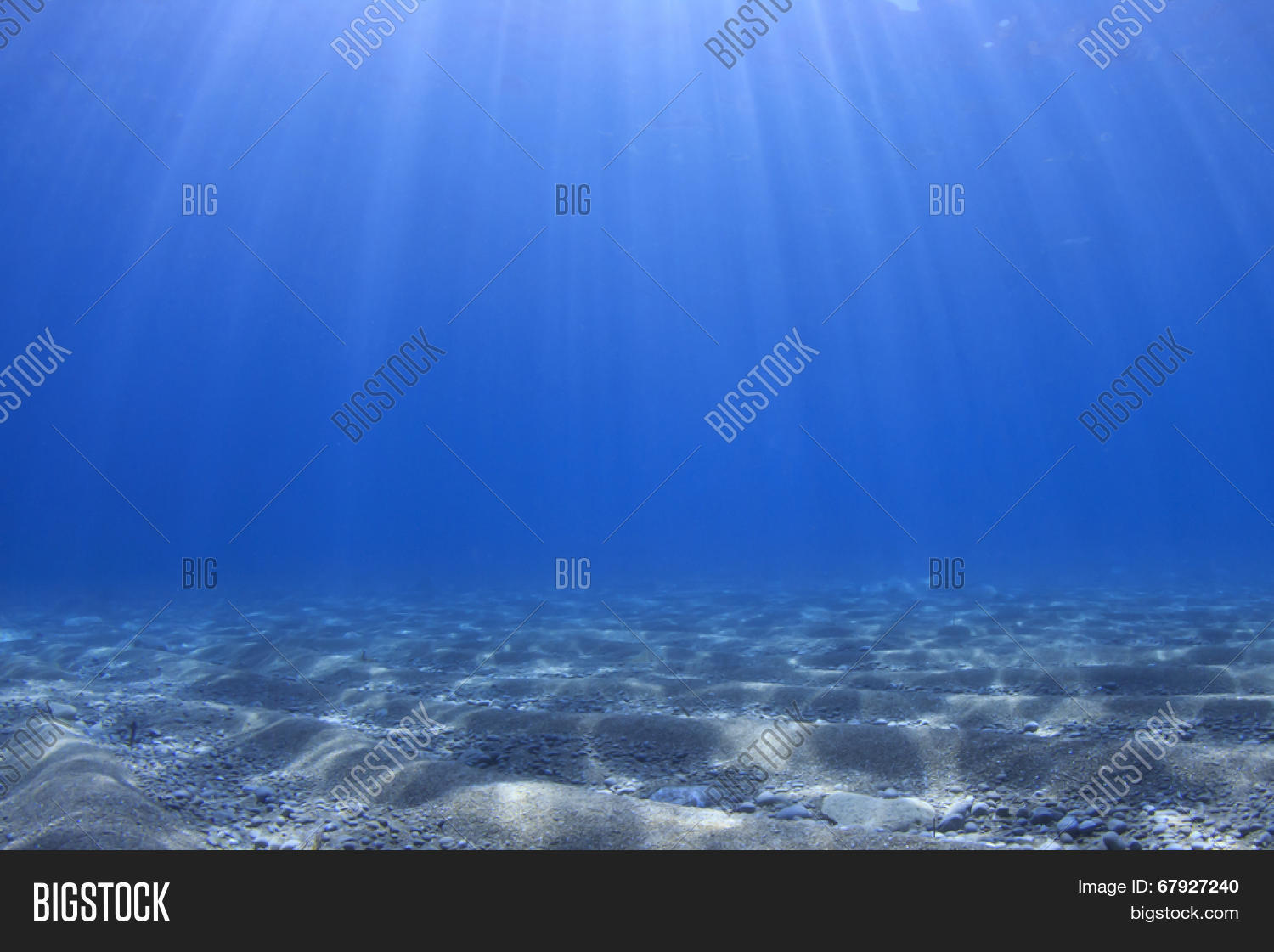 Underwater Ocean Image & Photo (Free Trial) | Bigstock