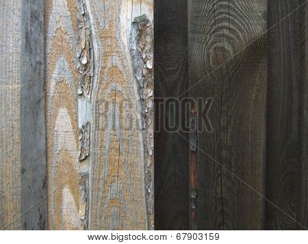 Close-up of old boards