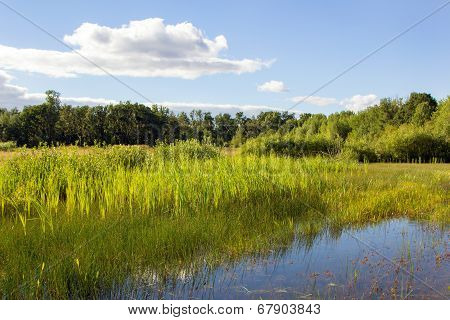 Finley National Wildlife Refuge