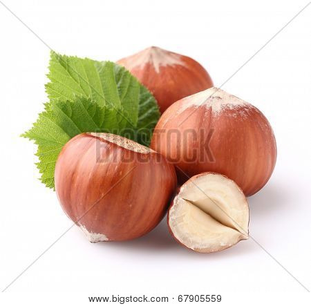 Hazelnuts with leaves